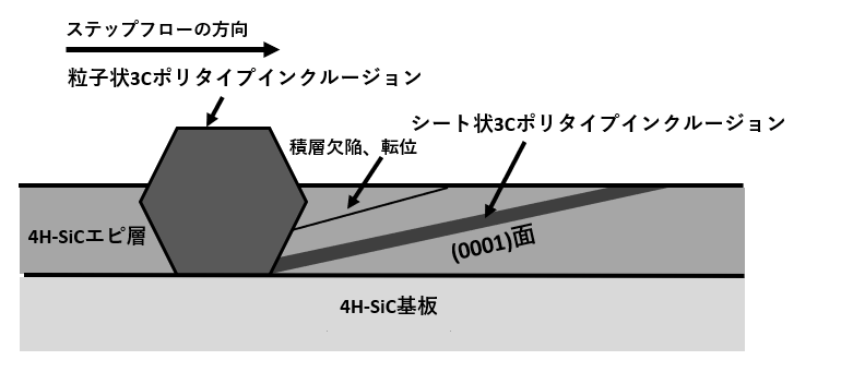 SiCウエハ表面３C粒子断面モデル